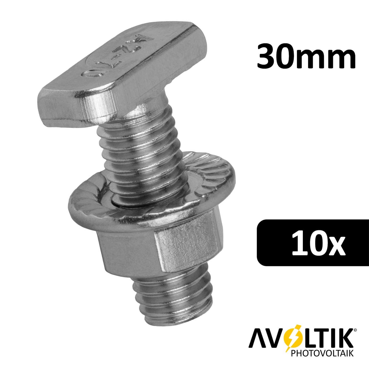 Avoltik Hammerkopfschraube 30mm 10 Stück