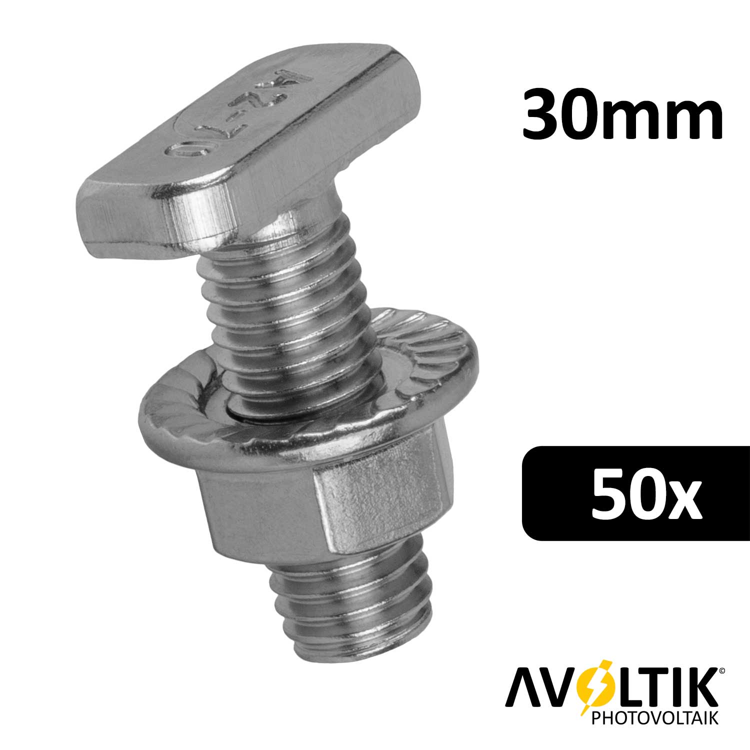 Avoltik Hammerkopfschraube 30mm 50 Stück