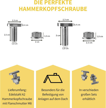 Avoltik Hammerkopfschraube  M10 25mm oder 30mm Lieferumfang und Abmessungen